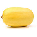 Courge Spaghetti  bio - kg