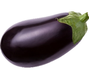 Aubergine - bio - kg (ESAT de Wattrelos))
