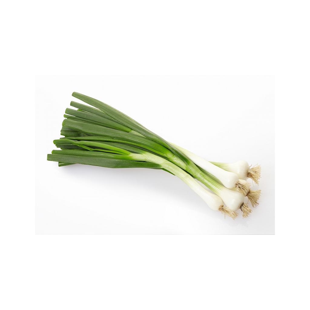 Cébette bio - botte